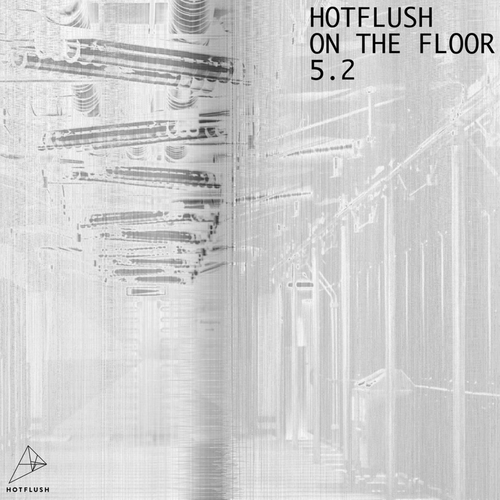 VA - Hotflush On The Floor 5.2 [HFCOMP019II]